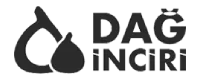 daginciri.com logo